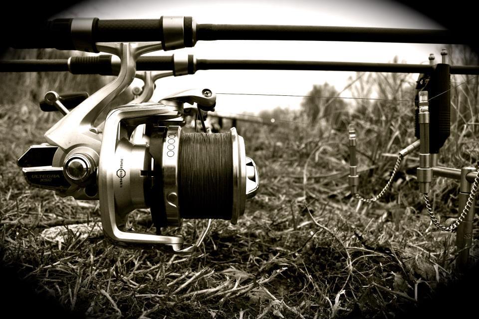 All4carp - 525746197490690399244727859973n.jpg